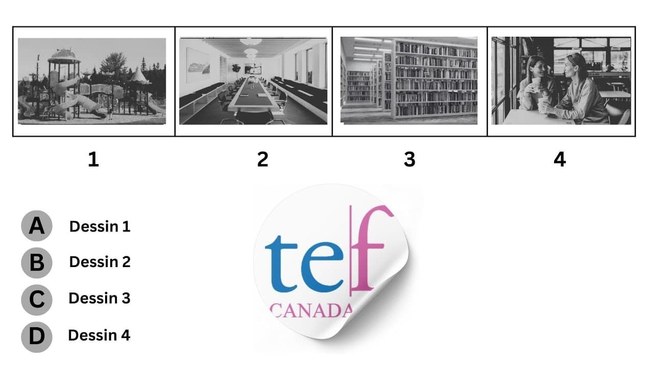 TEF Canada Exam - Listening Test | Compréhension orale | Practice Test | A1 to C2