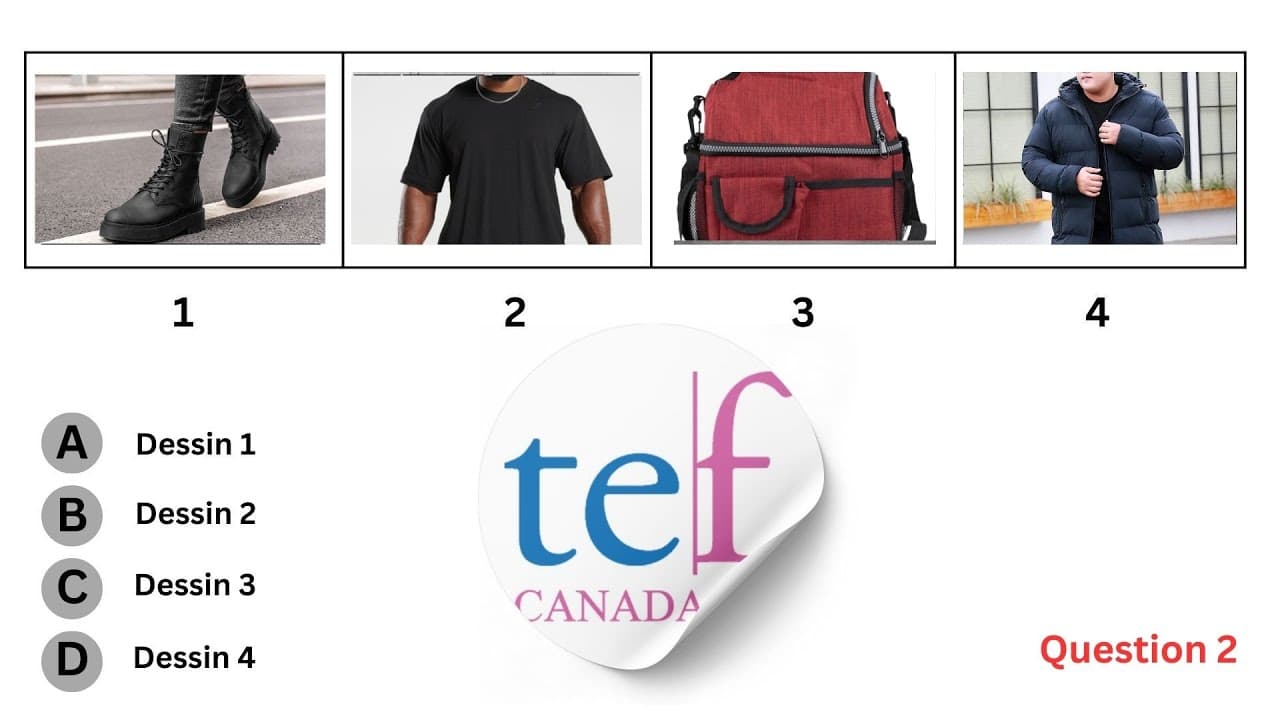 TEF Canada Exam - Listening Test | Compréhension orale | Practice Test | A1 to C2