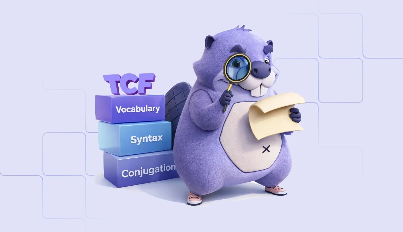 TCF Vocabulary Practice