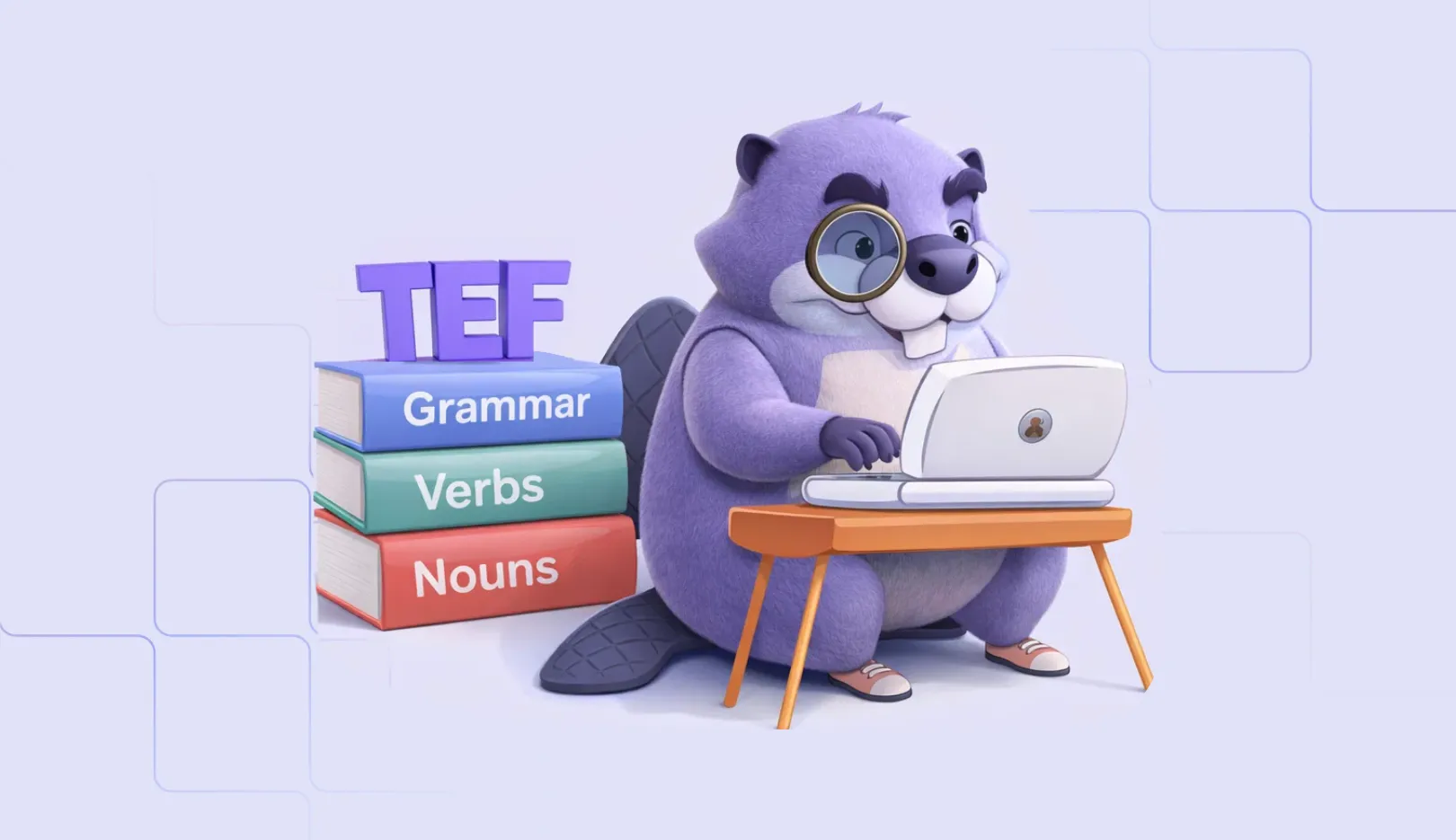 TEF Grammar Practice