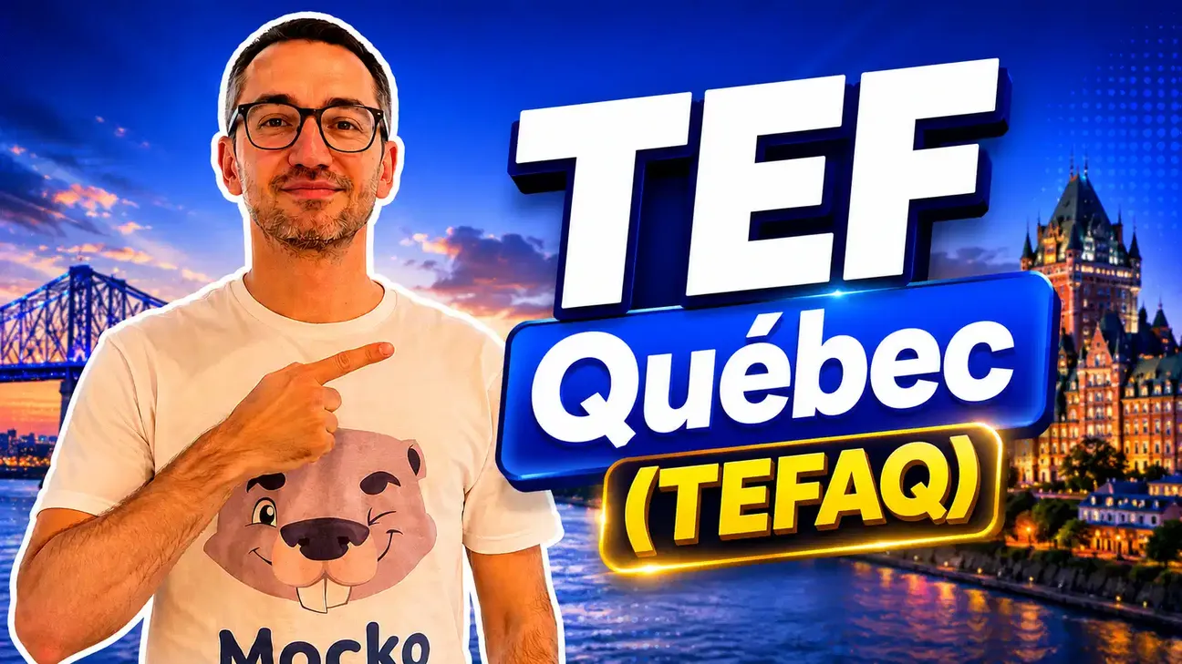TEFAQ Exercises – Free Exam Preparation